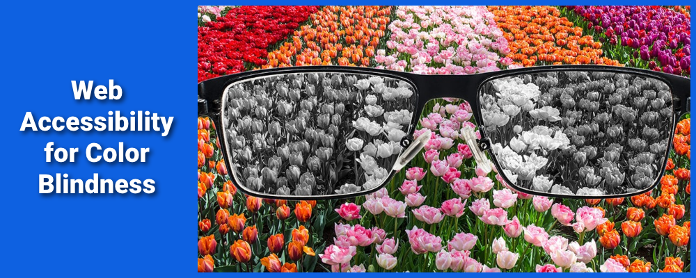 Web Accessibility for Color Blindness